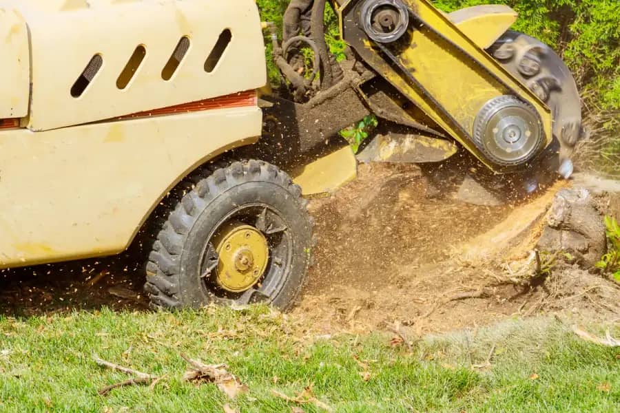 Stump Grinding by Greenville Arbor Co. in Greenville